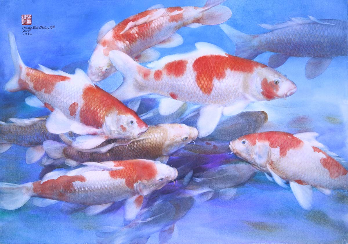 red and white koi fish swimming in blue water