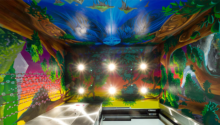 colorful mural inside the Tweed's elevator with nature motifs
